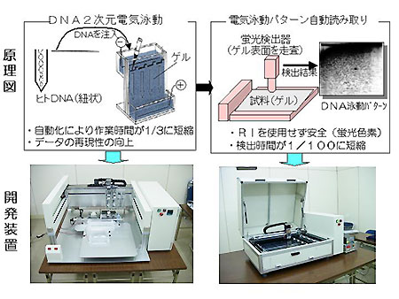 DNA２次元電気泳動の自動化装置　原理図　開発装置　