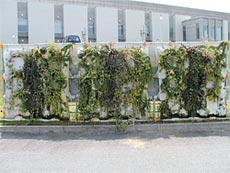壁面緑化資材を用いた施工例（真柄建設(株)）
