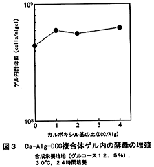 Ca-Alg-DCC̃Q̍y̑B