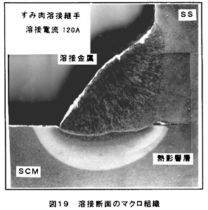 }PX@nڒfʂ̃}NgD